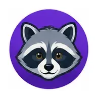 Raccoon face icon